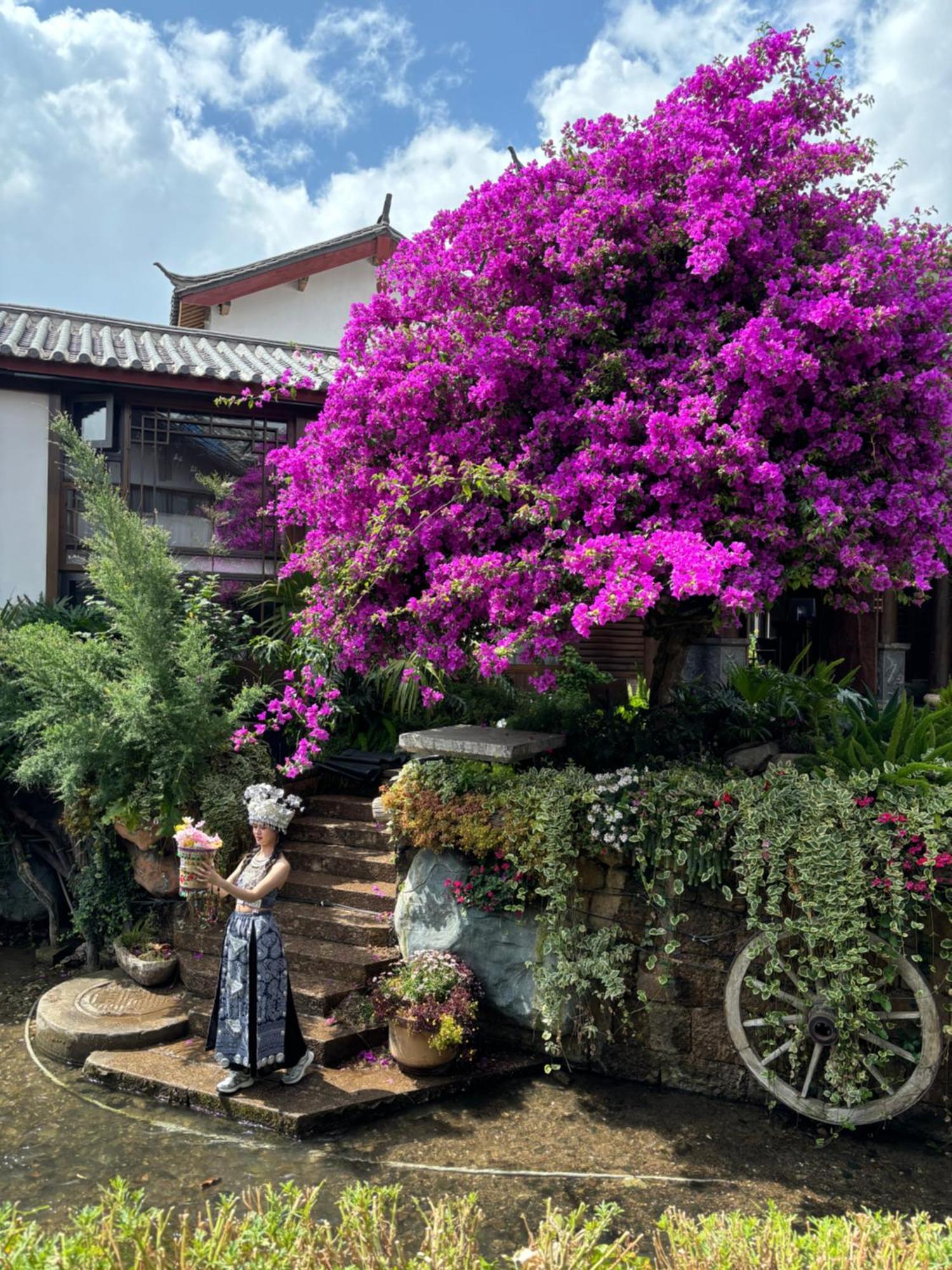 Juxian Boutique Homestay Lijiang  Esterno foto